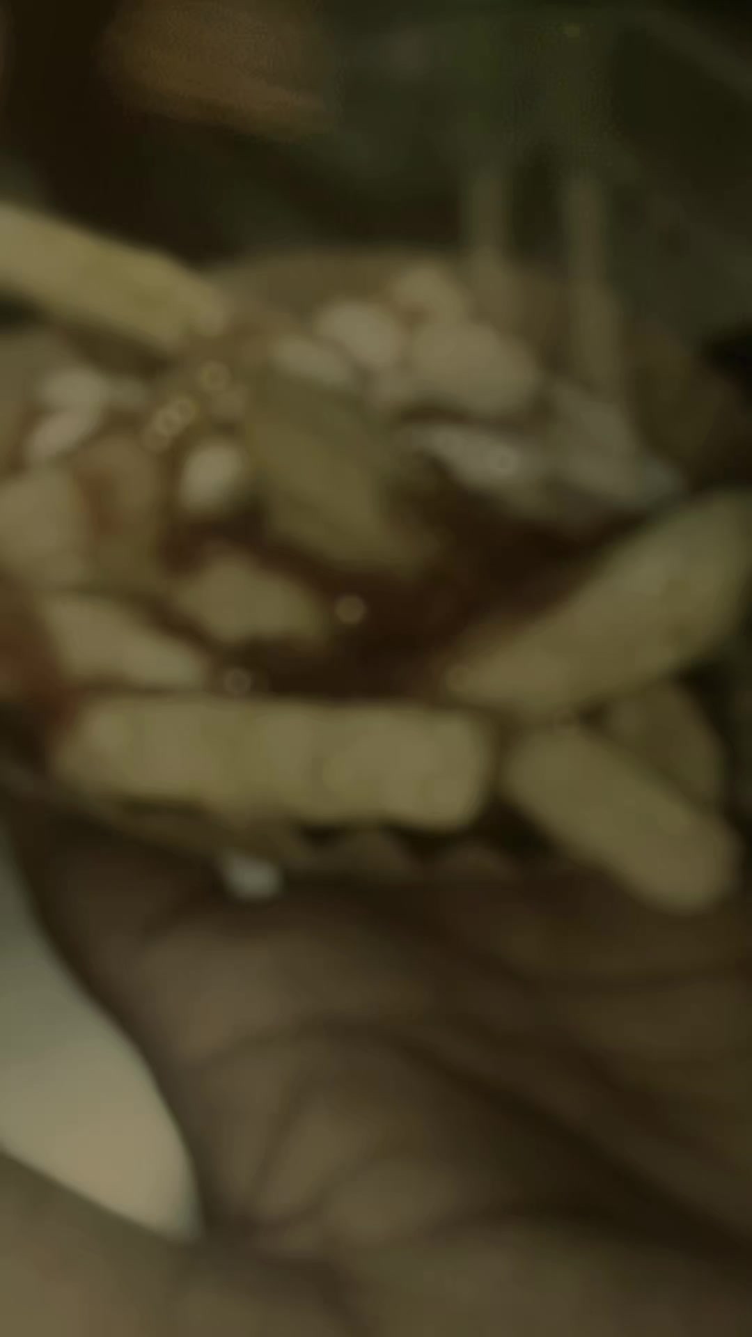 @⛎ سالار شاہ