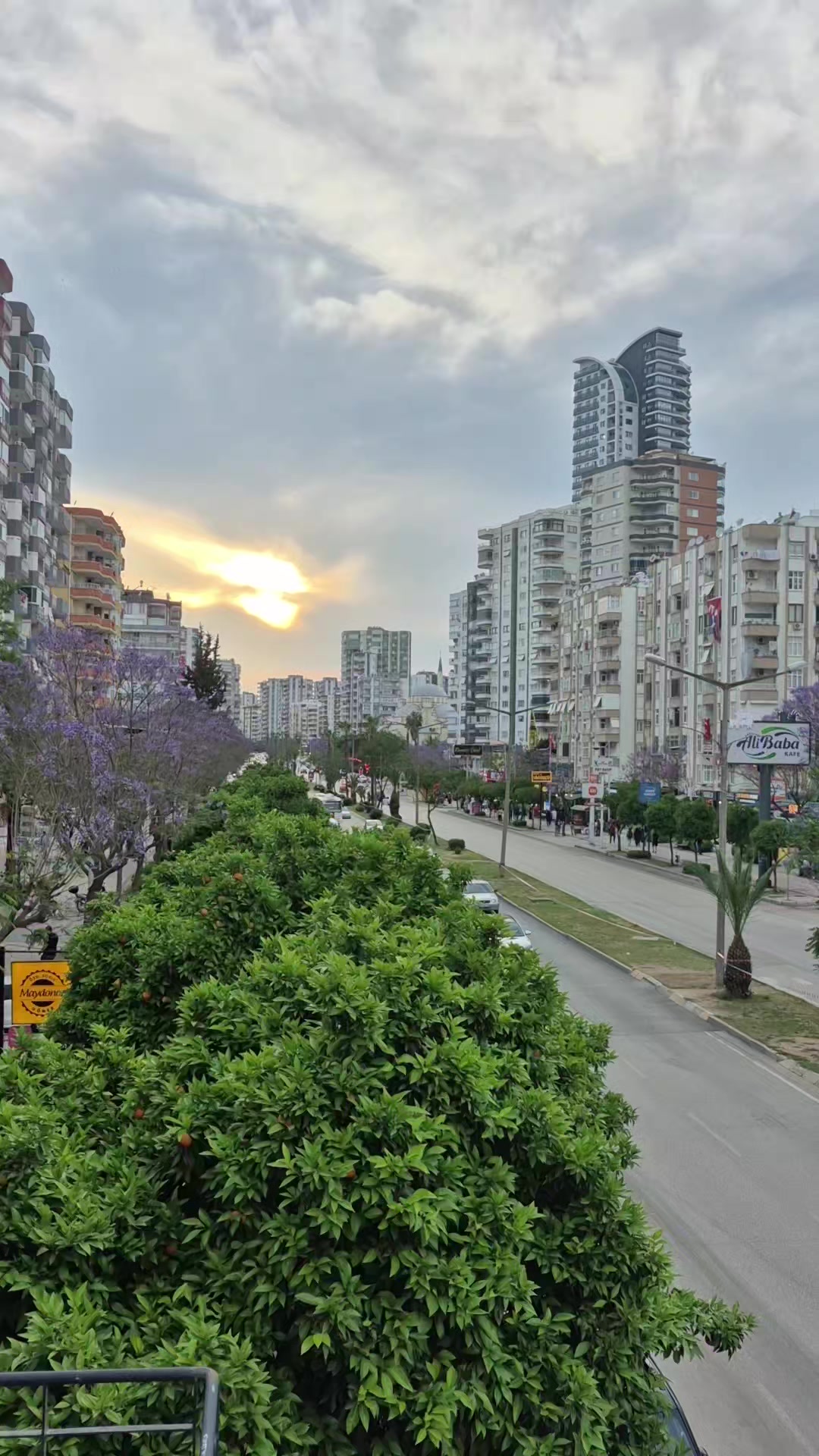 @🇹🇷 Ali.mtn01x
