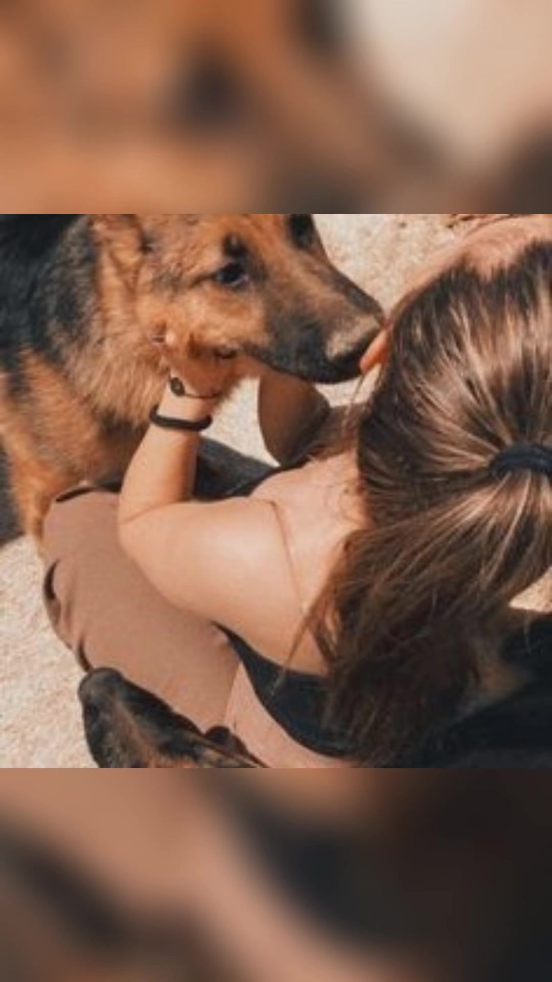 @Zoolover 🐾