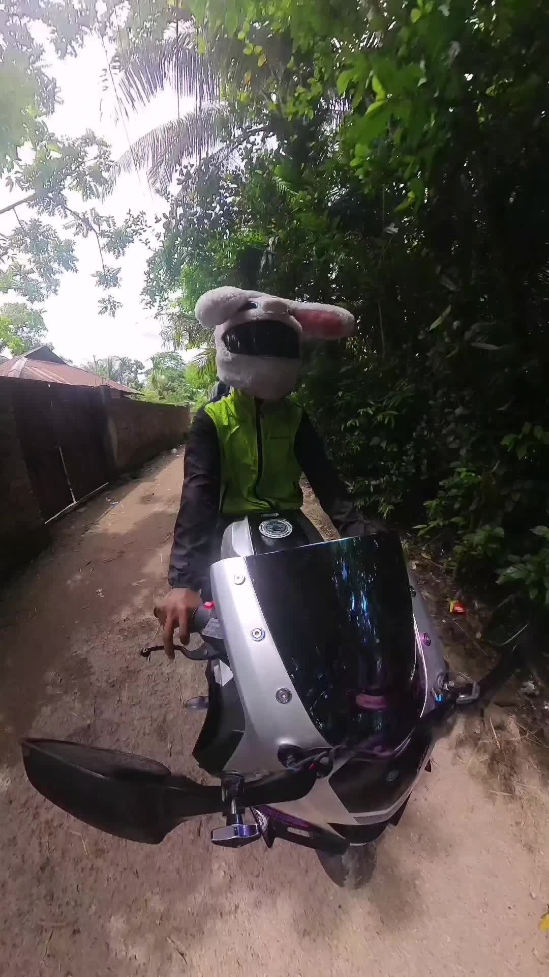 @Mr.Bunny