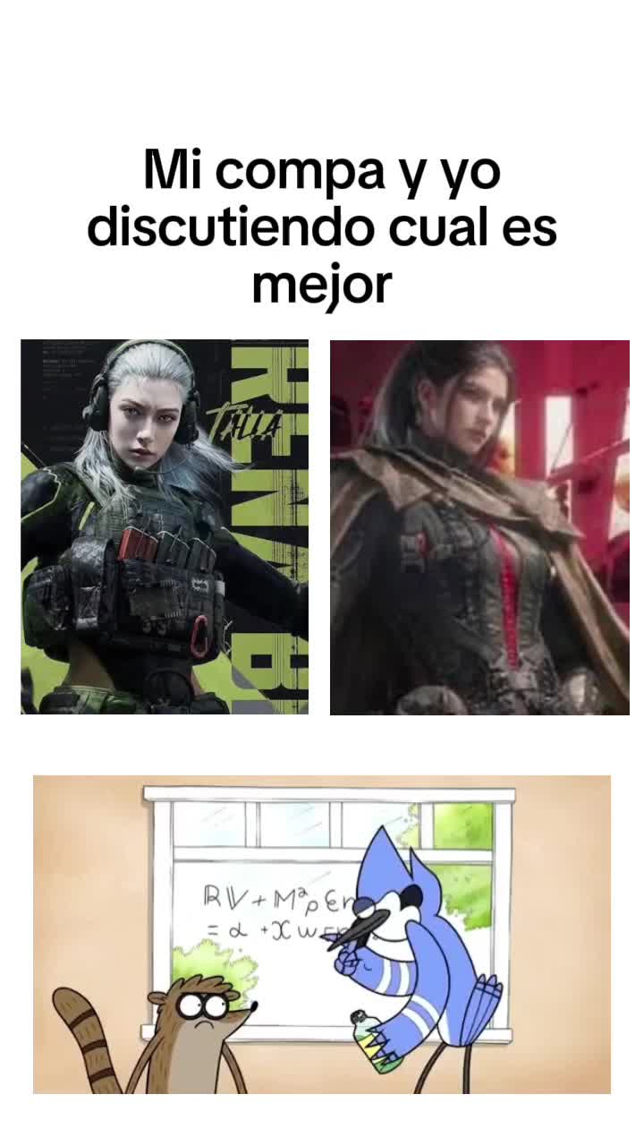 @gato de combate