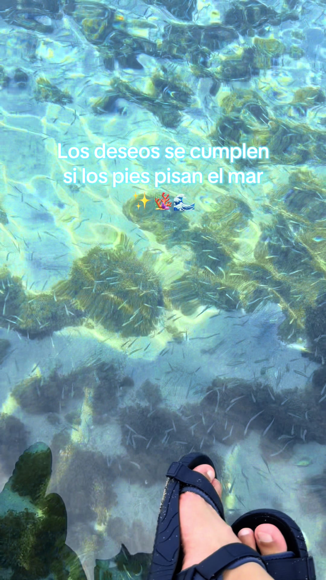 @Od. More Centeno 🌷