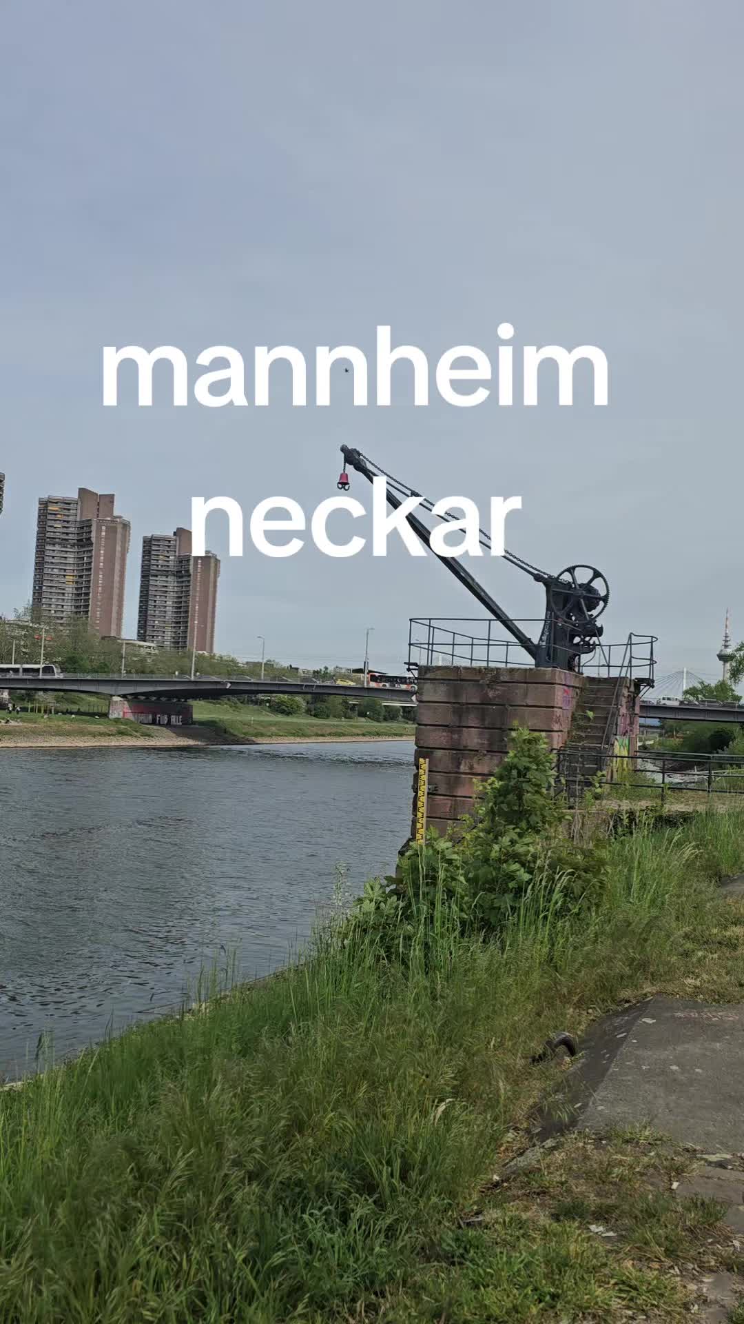 @serife._14