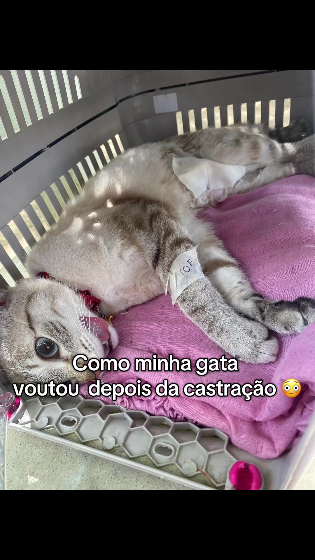 @🛍️ Amanda | Achadinhos