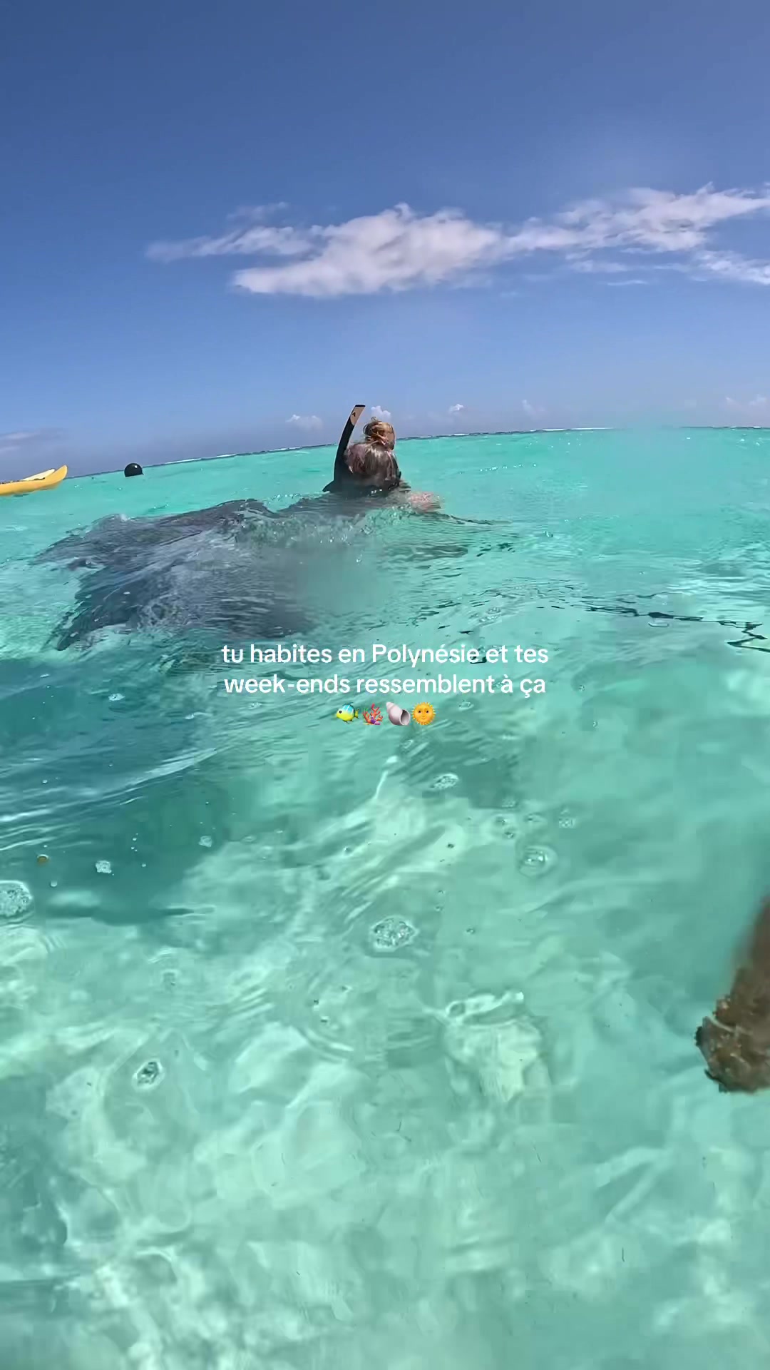 @Ambre | Tahiti 🐚🌺