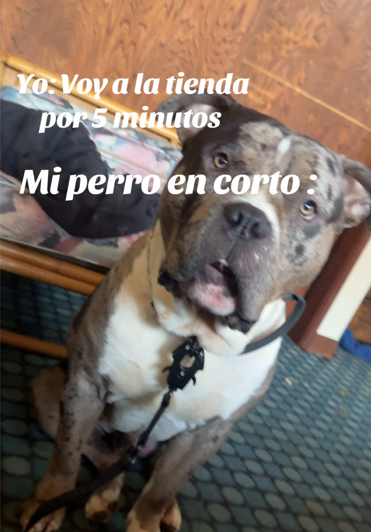 @MALA FAMA INK