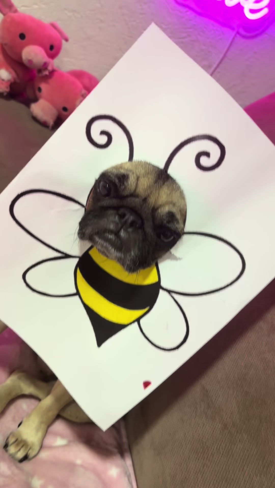 @Emma la Pug