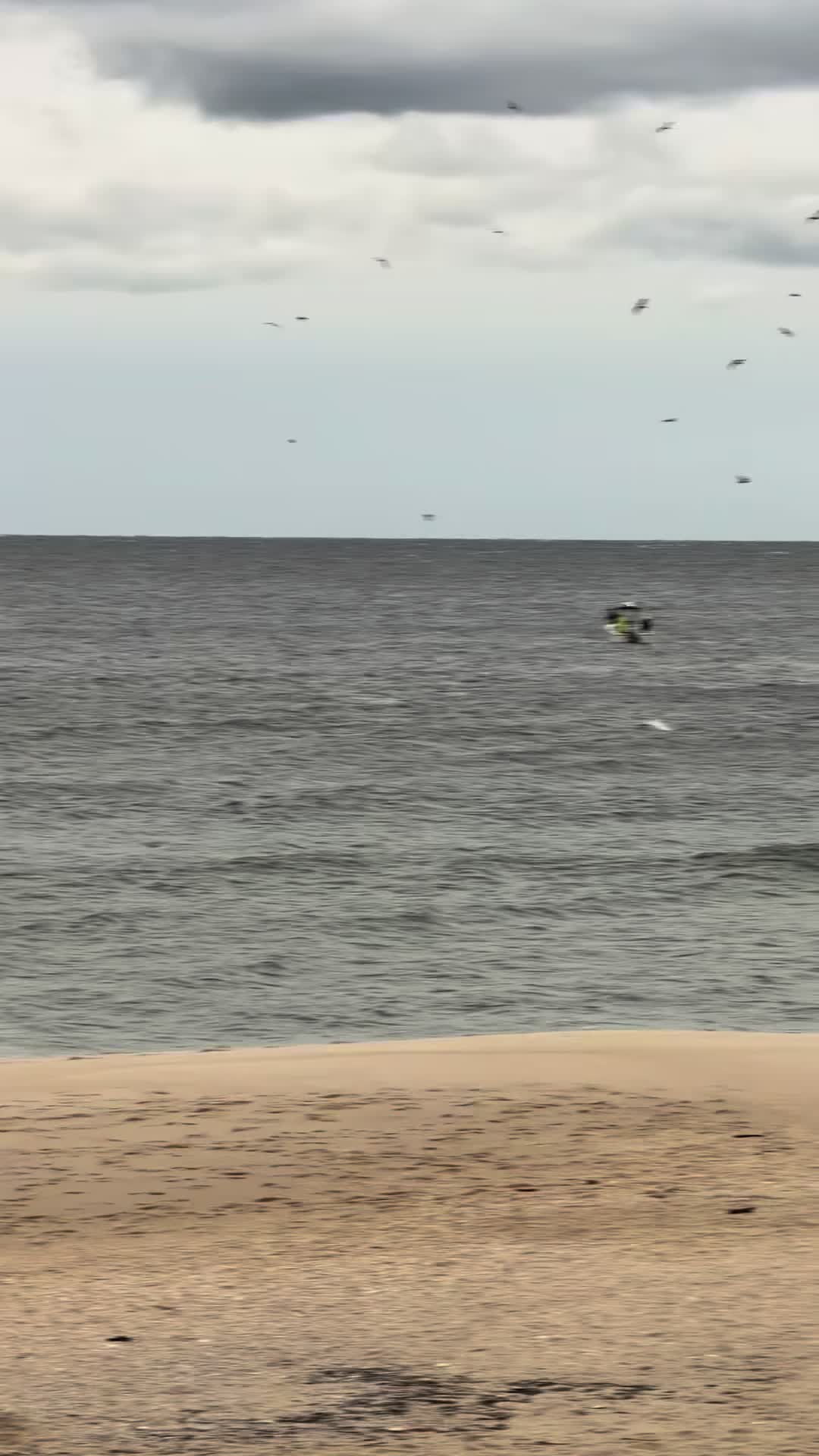 @SurfcastNJ Joe Gray