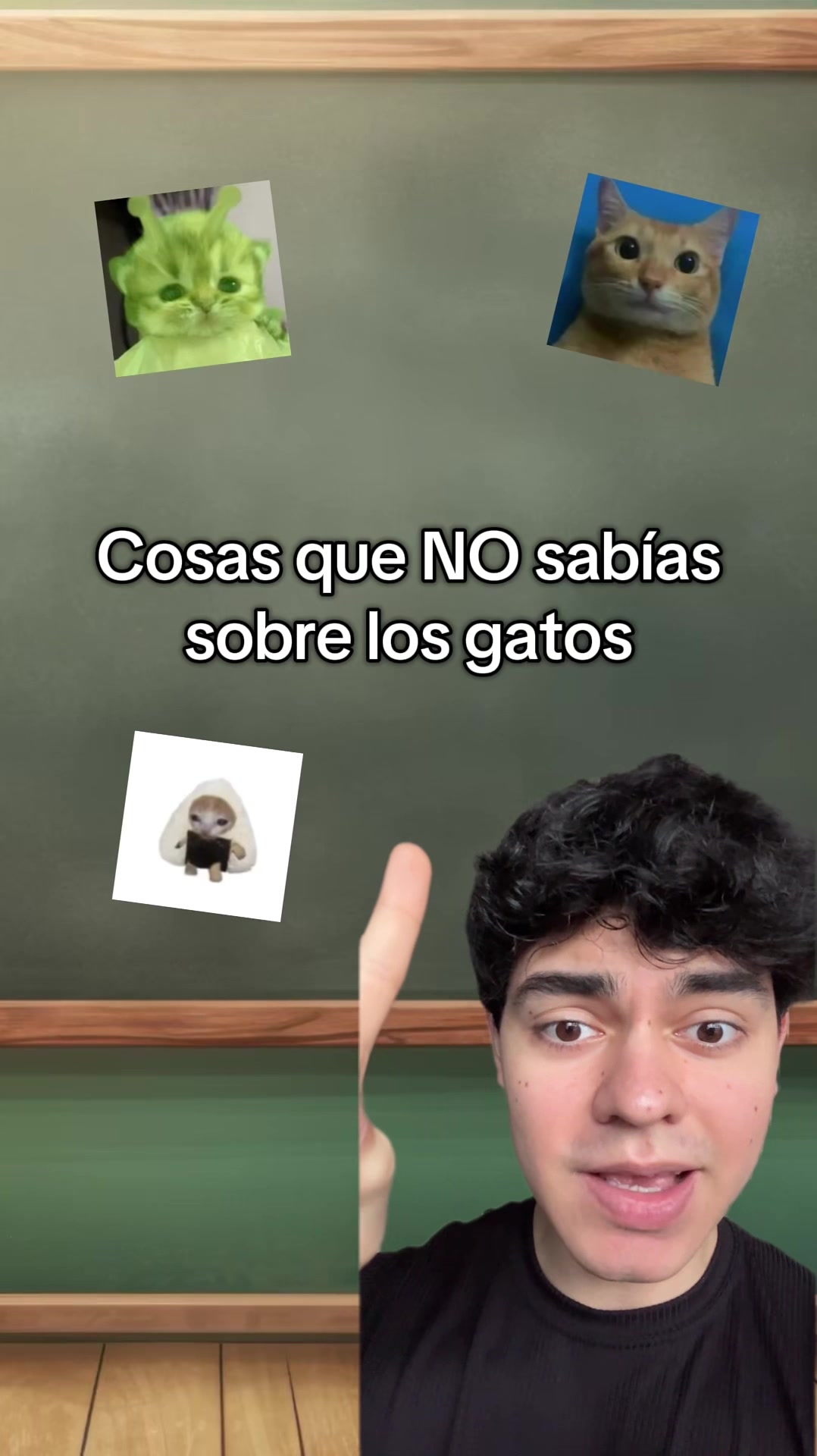 @javigainzz