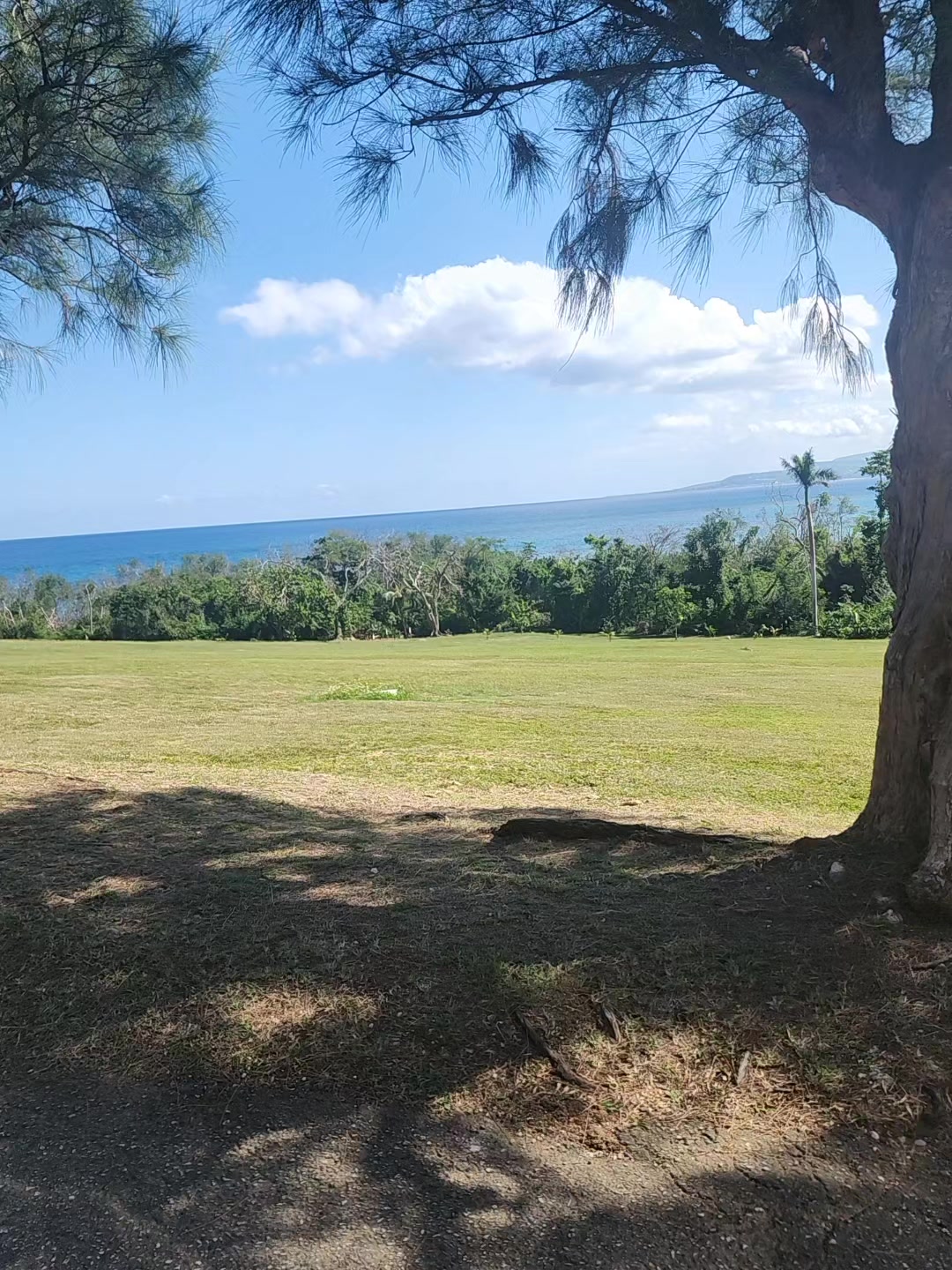 @HCJTOURSJAMAICA