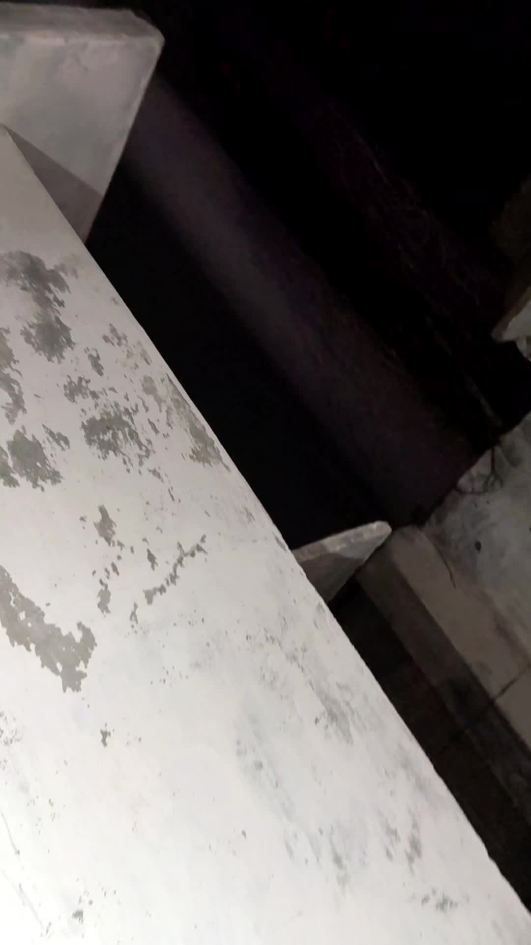@AsiaDoll01