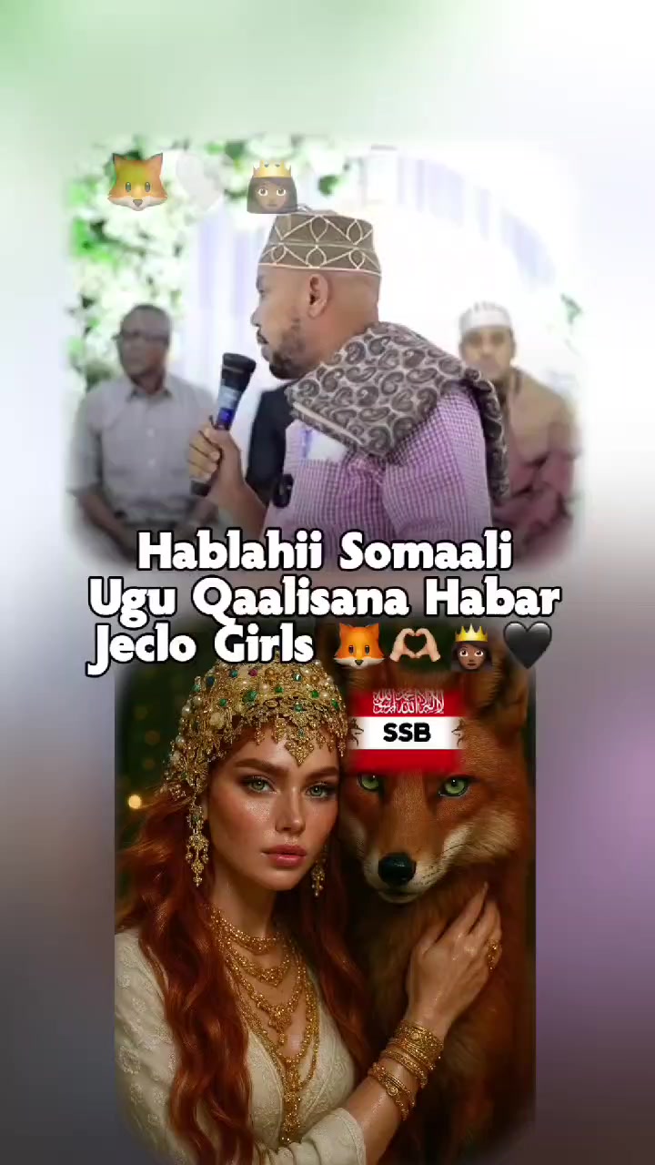 @𝗠𝗥  ٭͜𝗤𝗔𝗬𝗟𝗢🤴🏻🖤