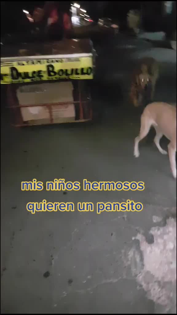 @Tani(ManadaLadridosCelestiales