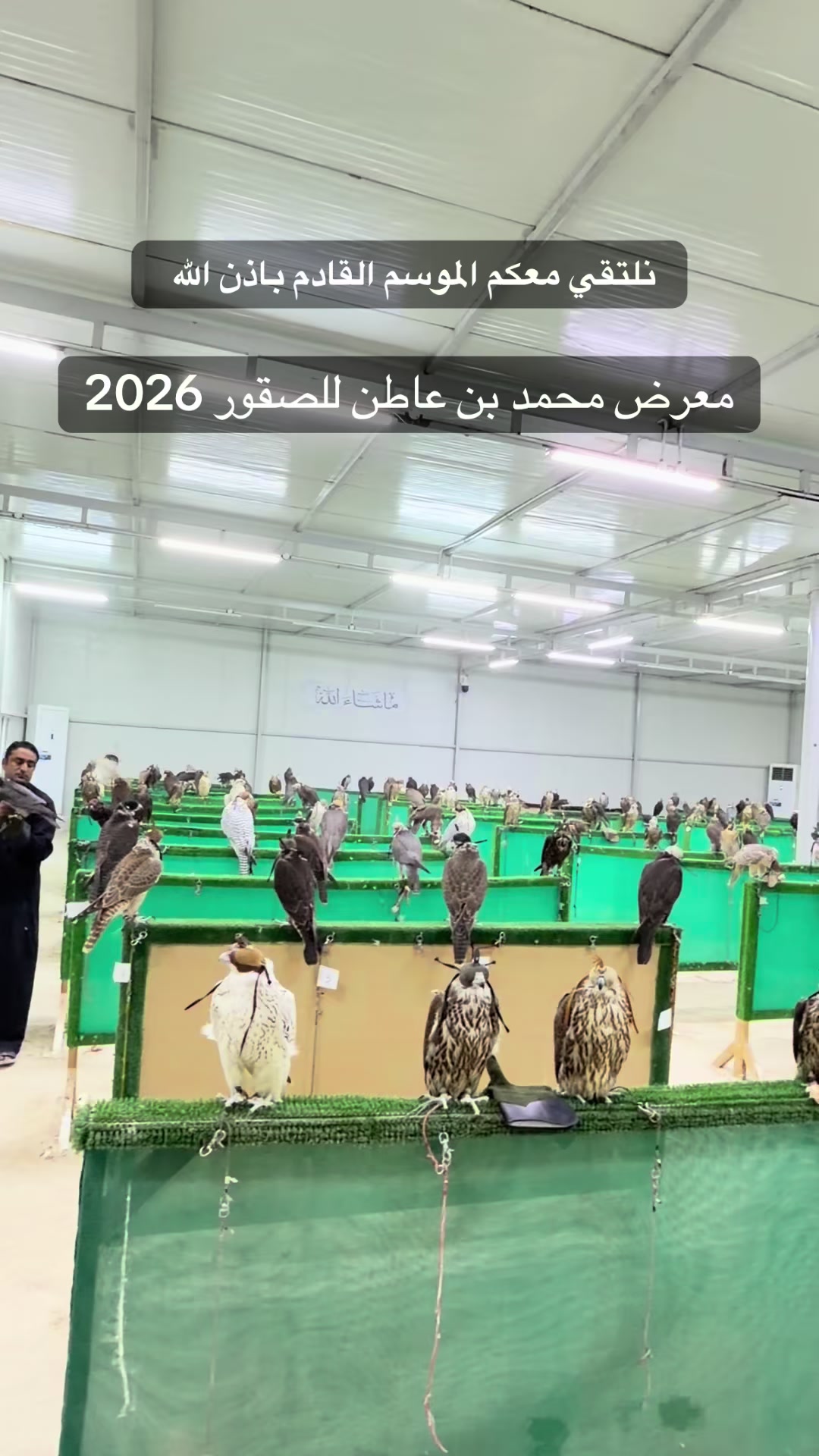 @محمد بن عاطن🦅