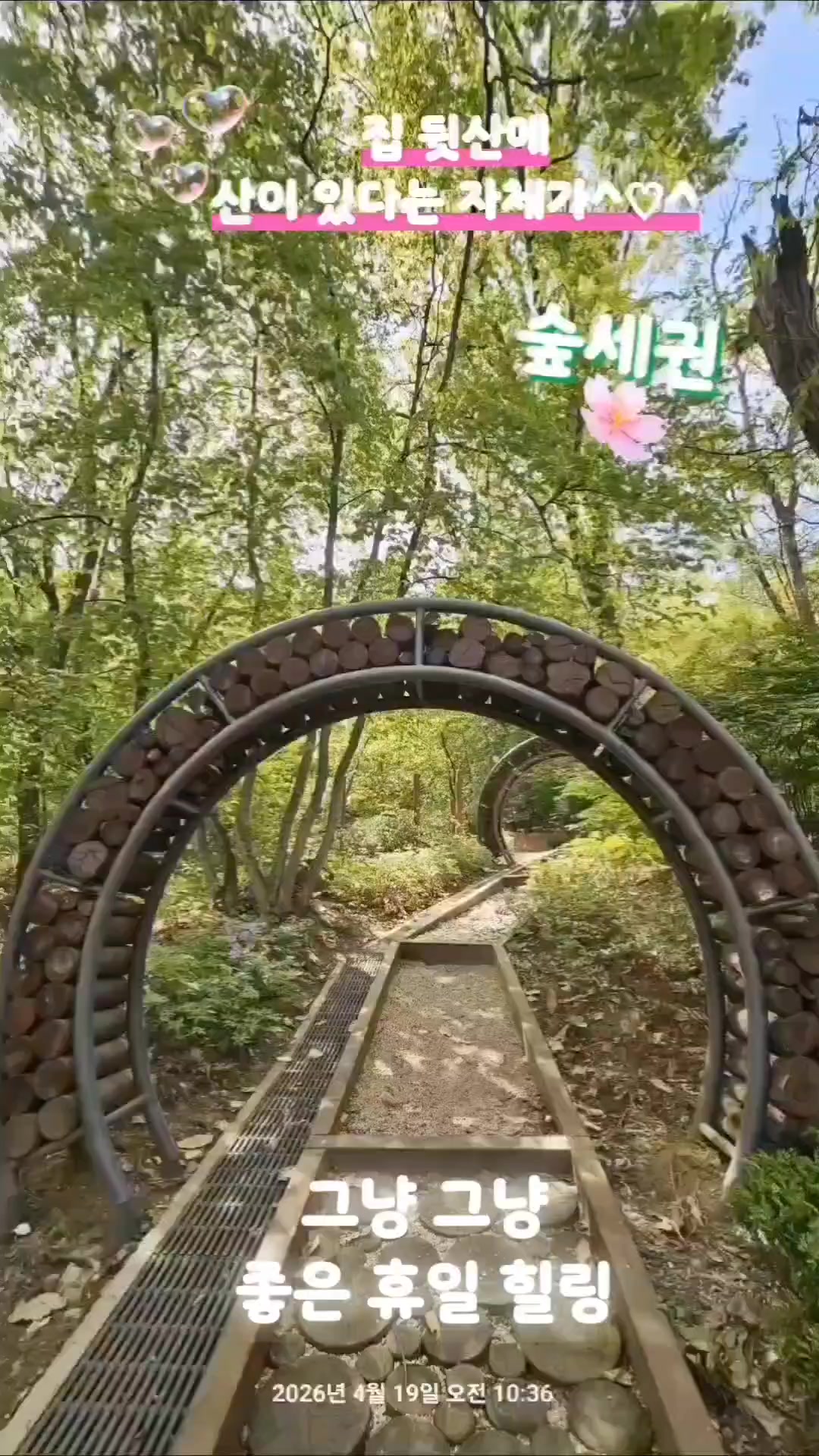 @열정하고잽이 셔플댄스강사