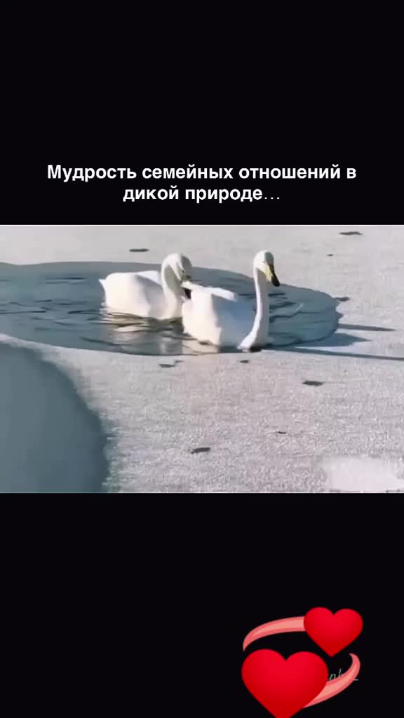@Константин