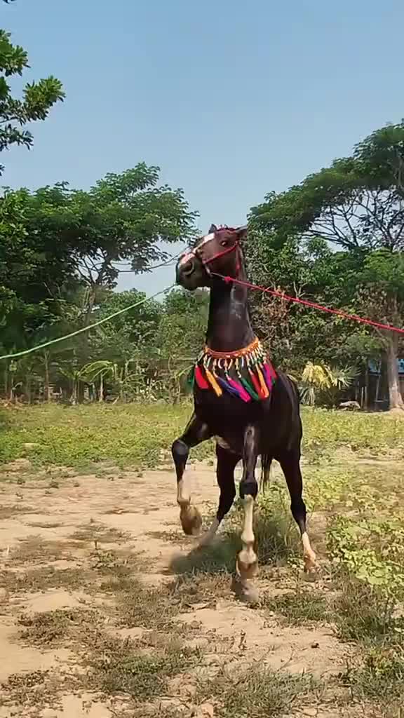 @☪️Aung Gyi♌️