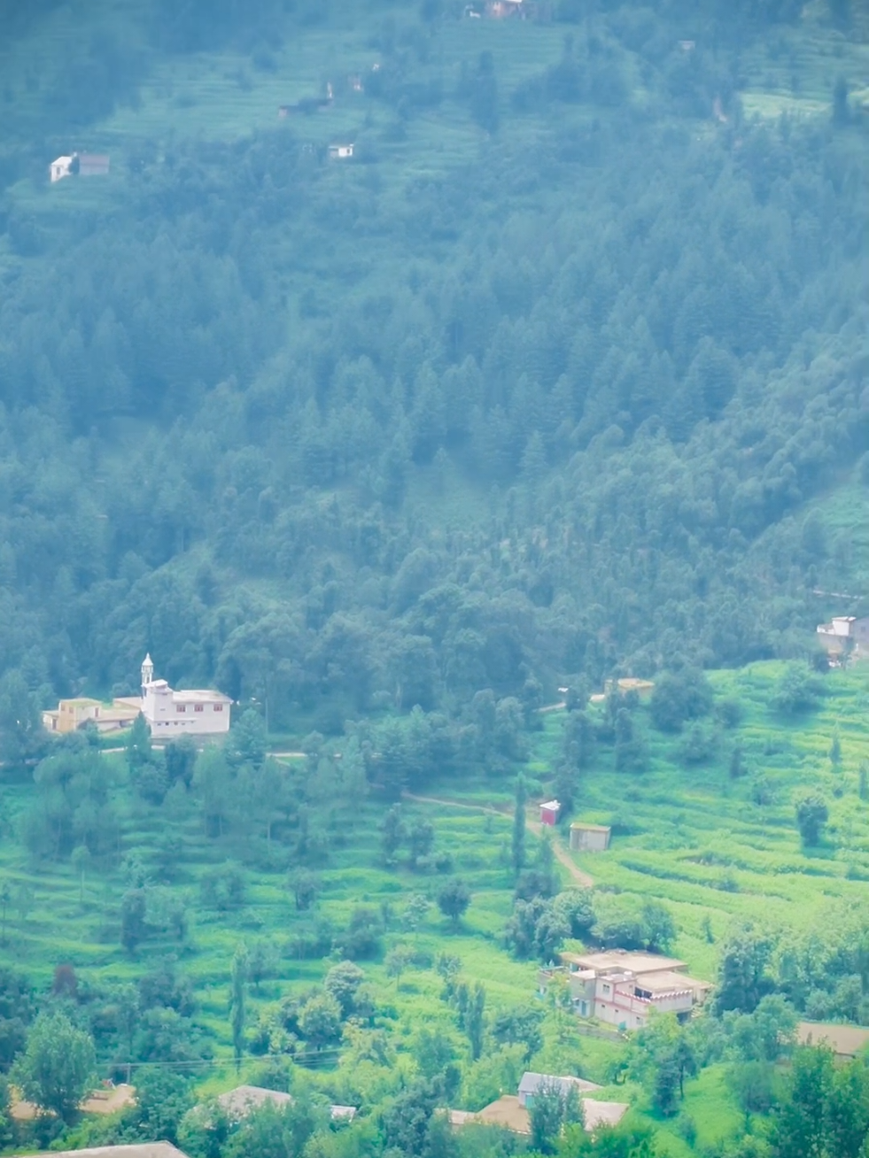 @🌲غر سنے 🌲