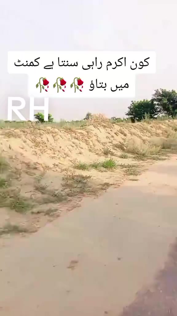 @🤑شیخ صاحب 341