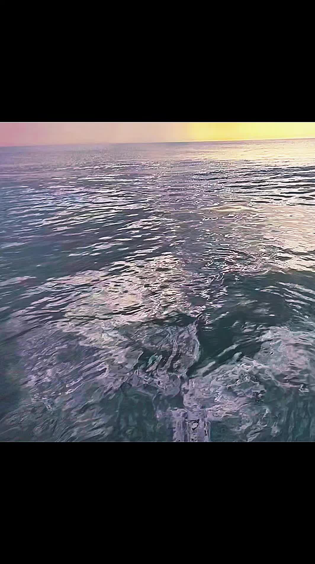 @justbeachy