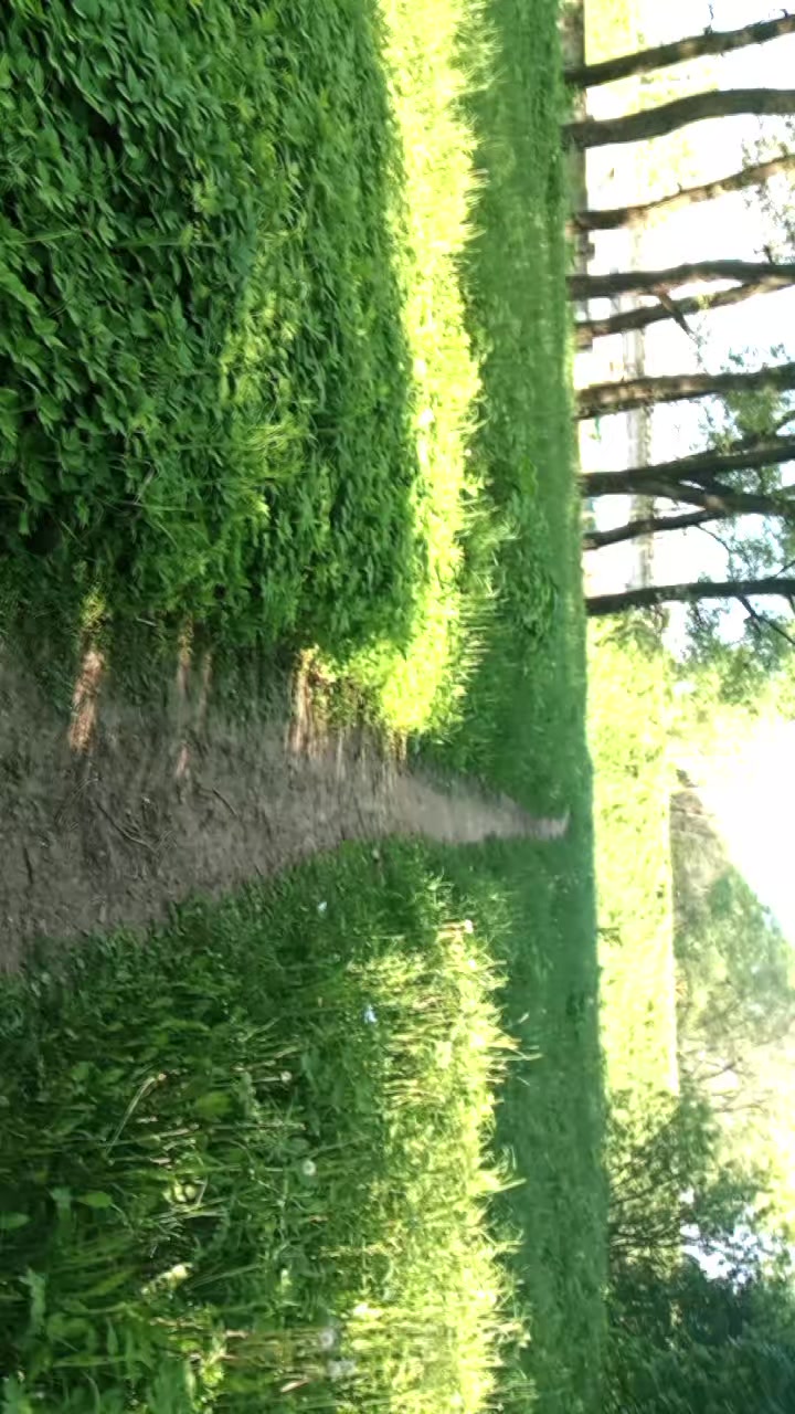 @EXXE