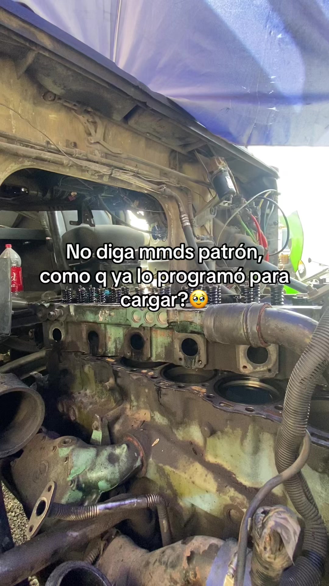 @nandosalgado8