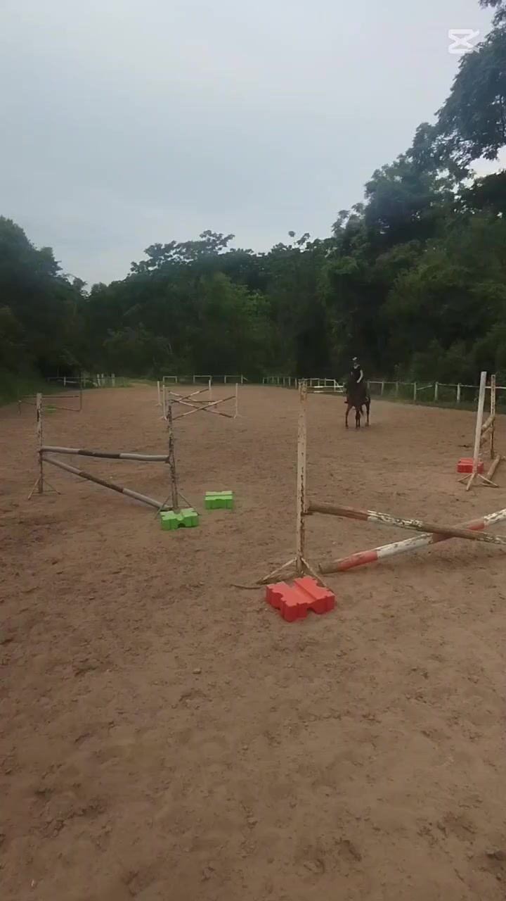 @equestrian