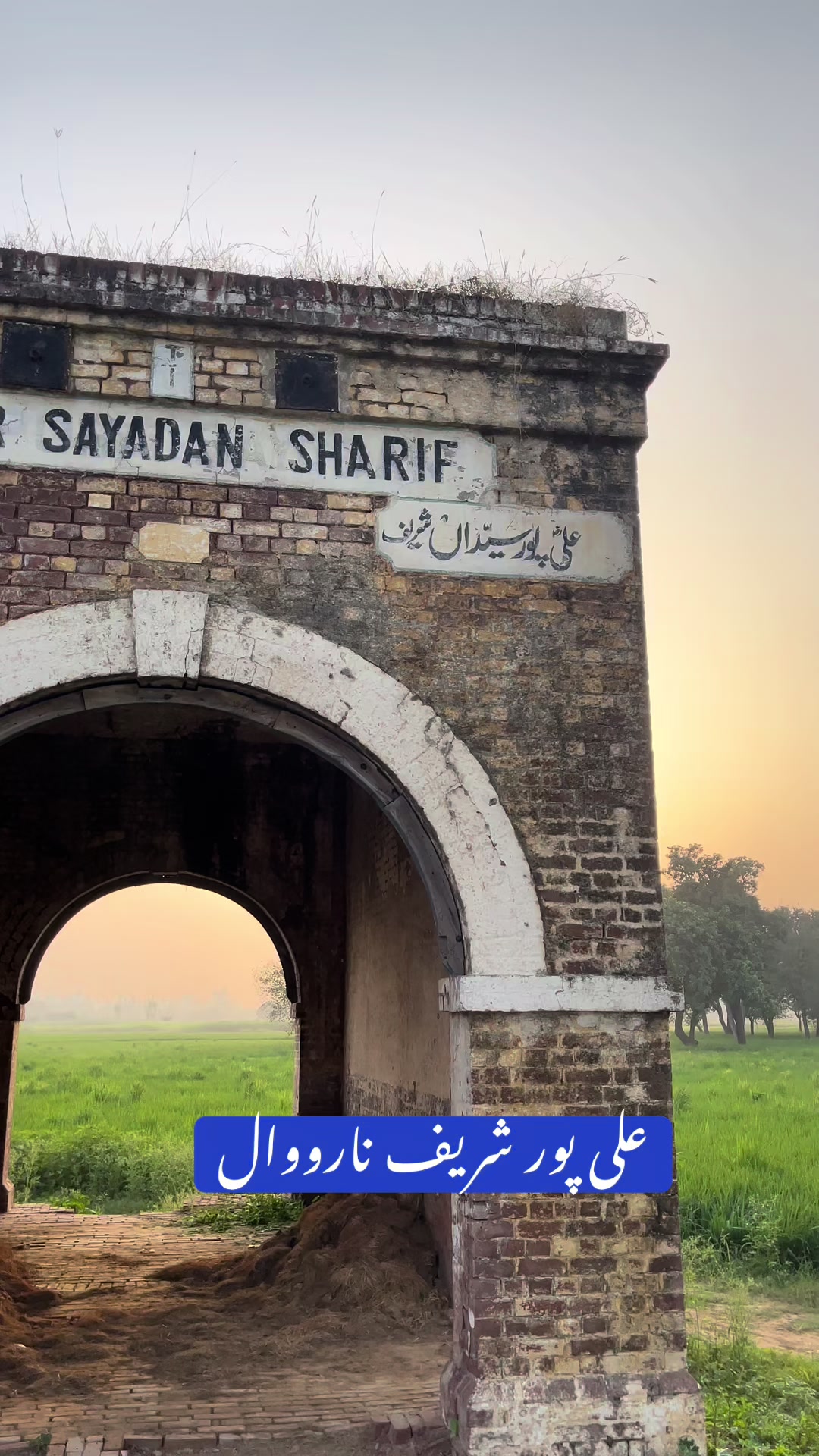 @Rehab Fatima 🇵🇰