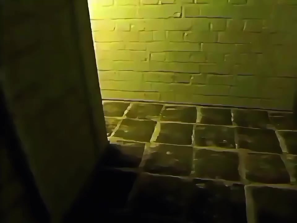 @✧❂⊱𝑽 &Iacute; 𝕮 𝕿 𝕺 𝕽✧⊰❂✧
