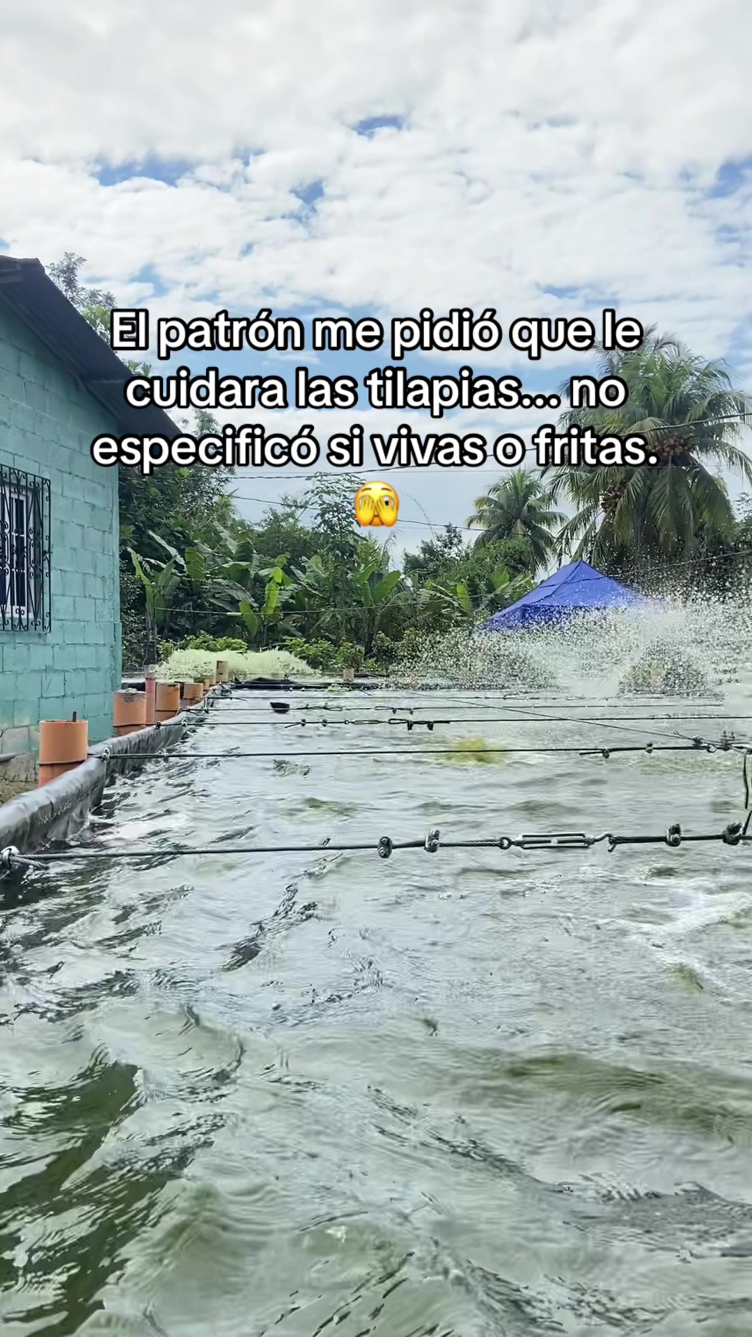 @Eliel