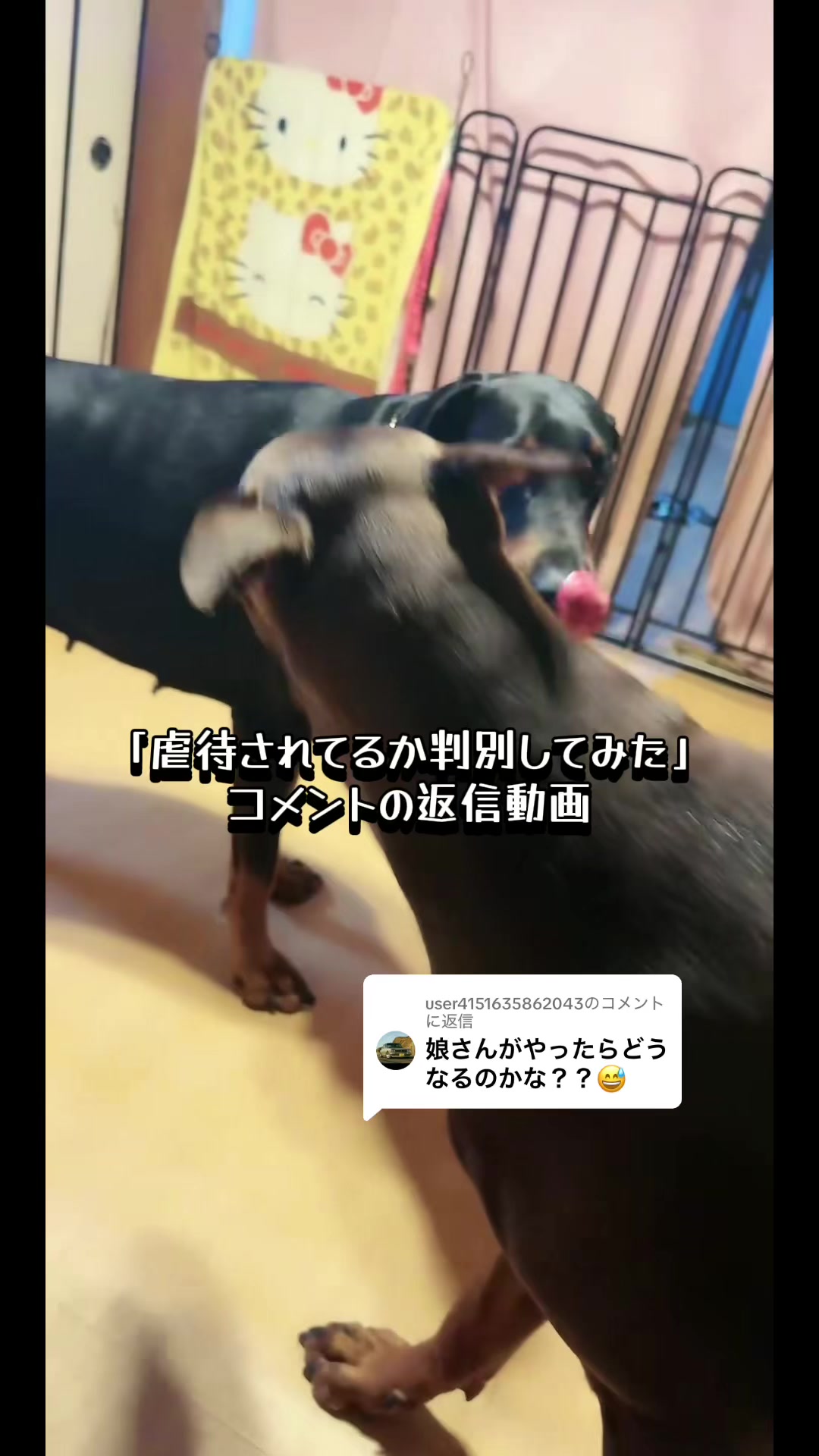 @🐣DOBERMAN🩷DORUMA