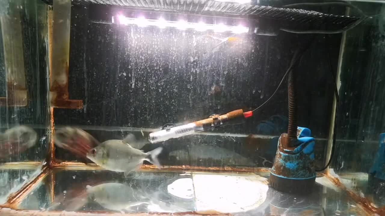 @aquaticbeastkeepe