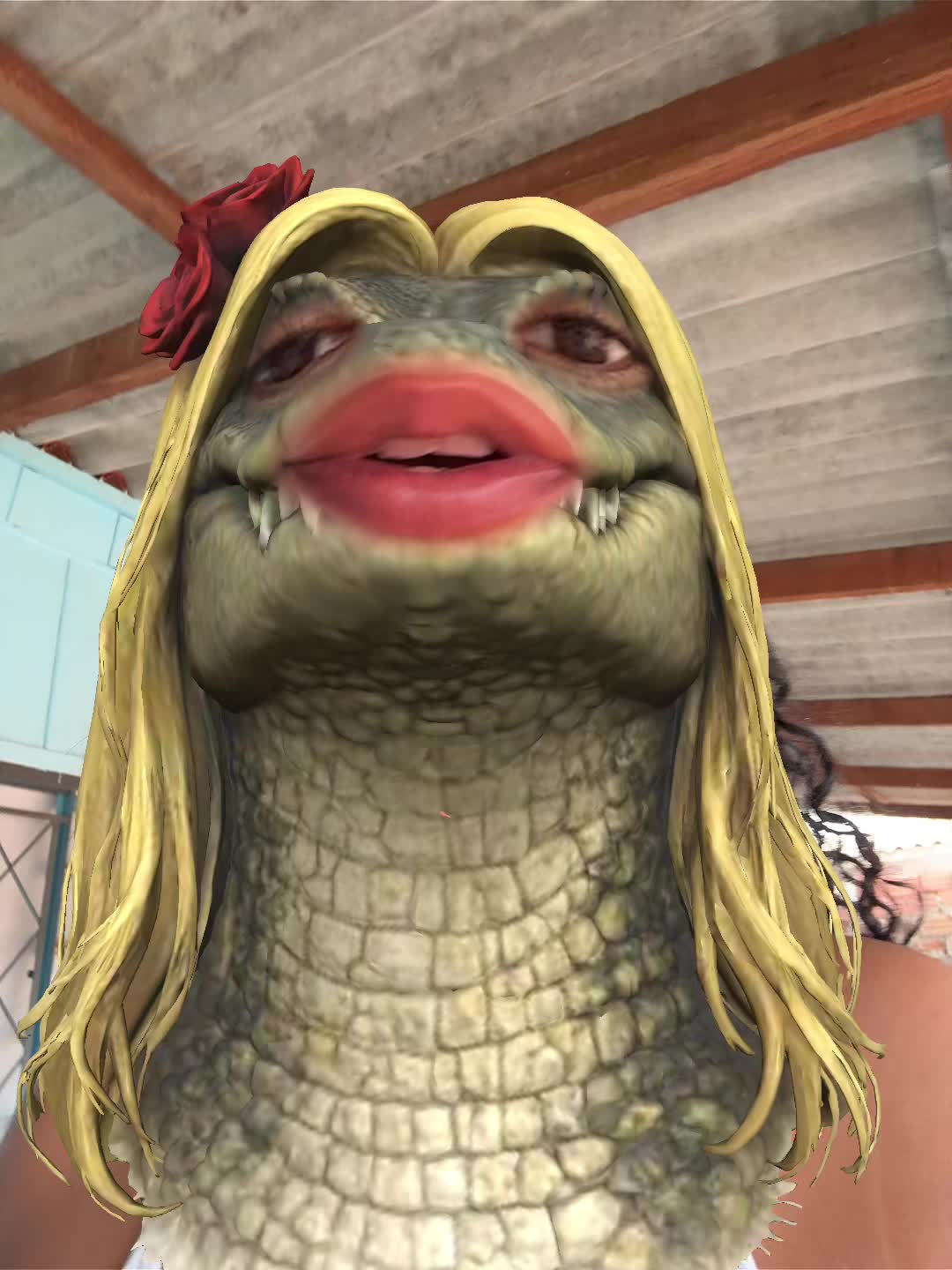 @cuca_da_mata