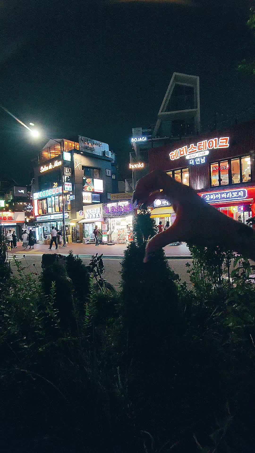 @❄️모모✨️모건❄️