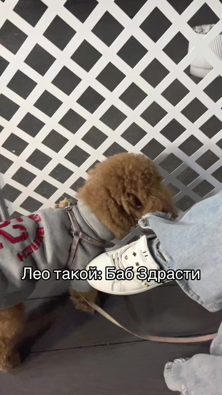 @lana🤦🏻&zwj;♀️