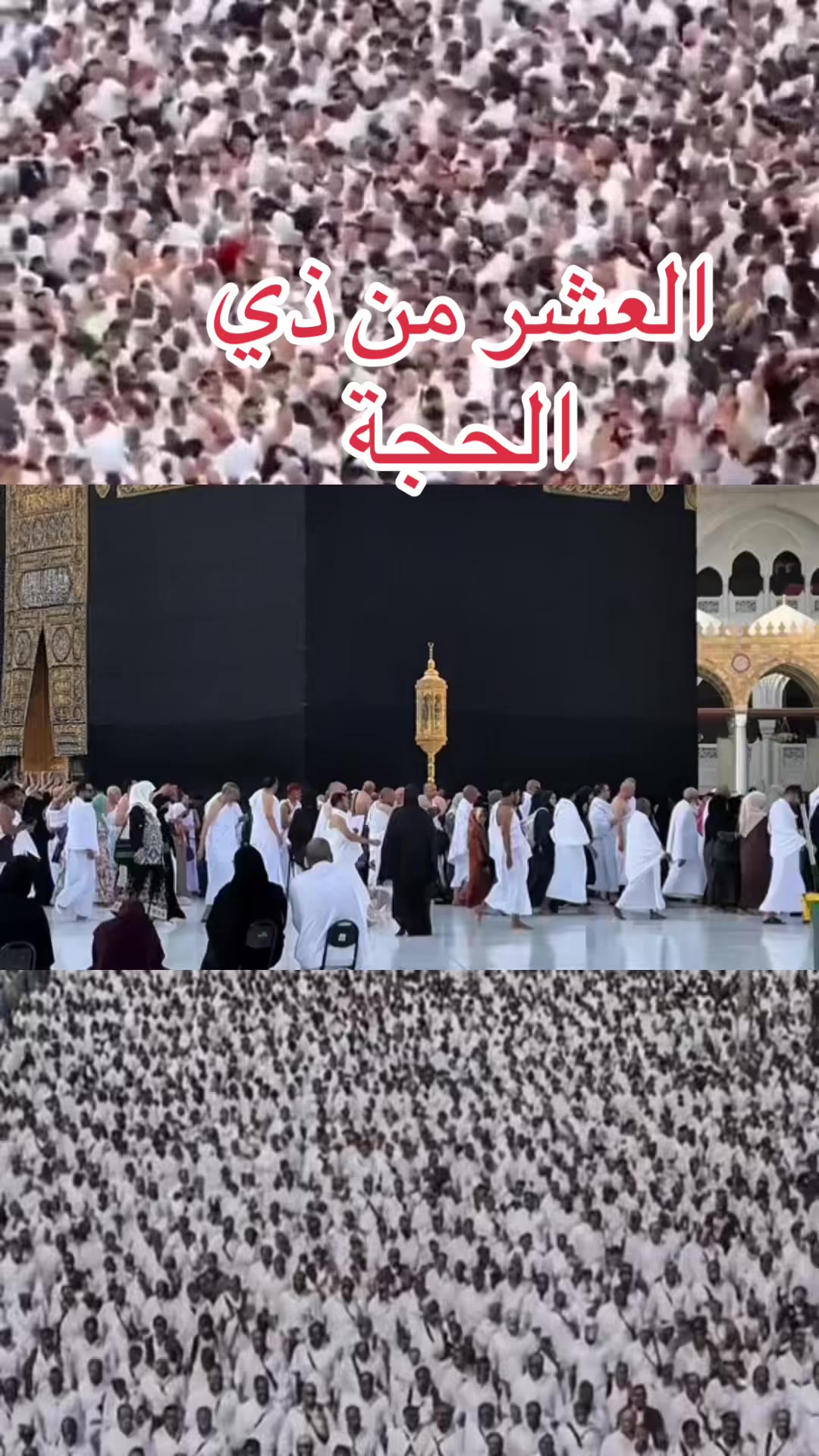 @تغطيات صقر_101