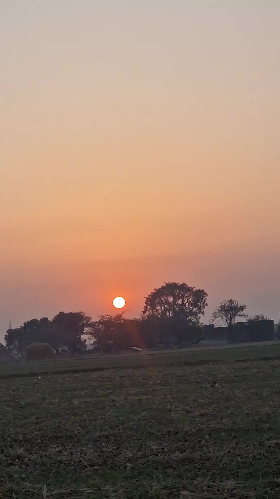 @alizafar🇵🇰