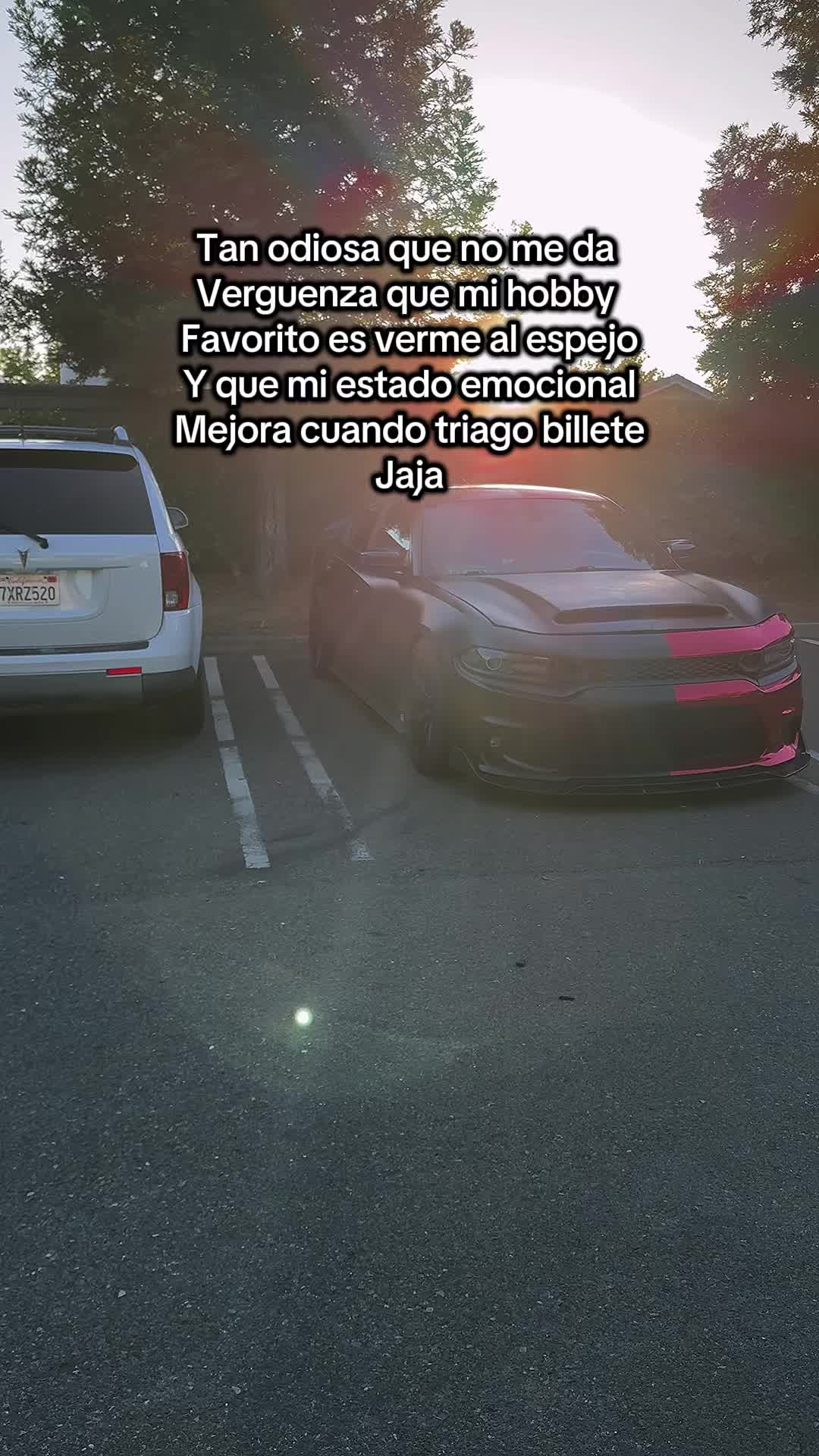 @Arami M