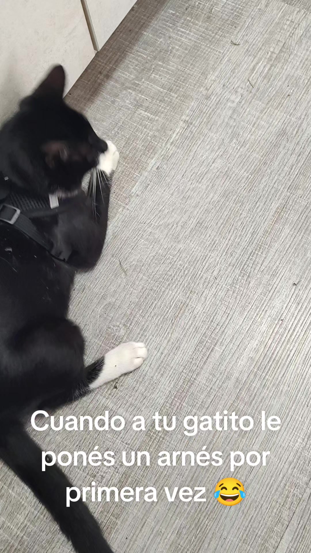 @Ro