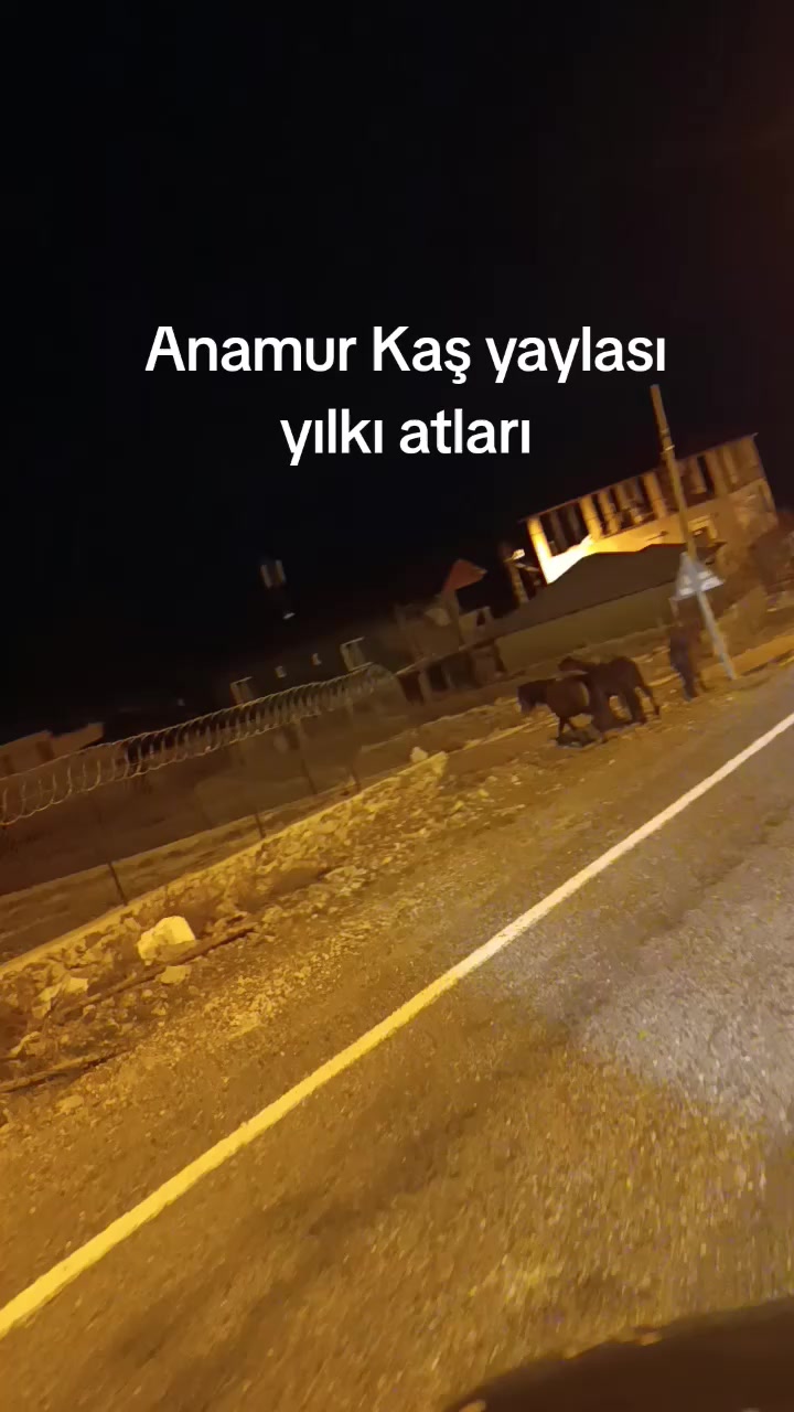 @mutlu DURUSOY