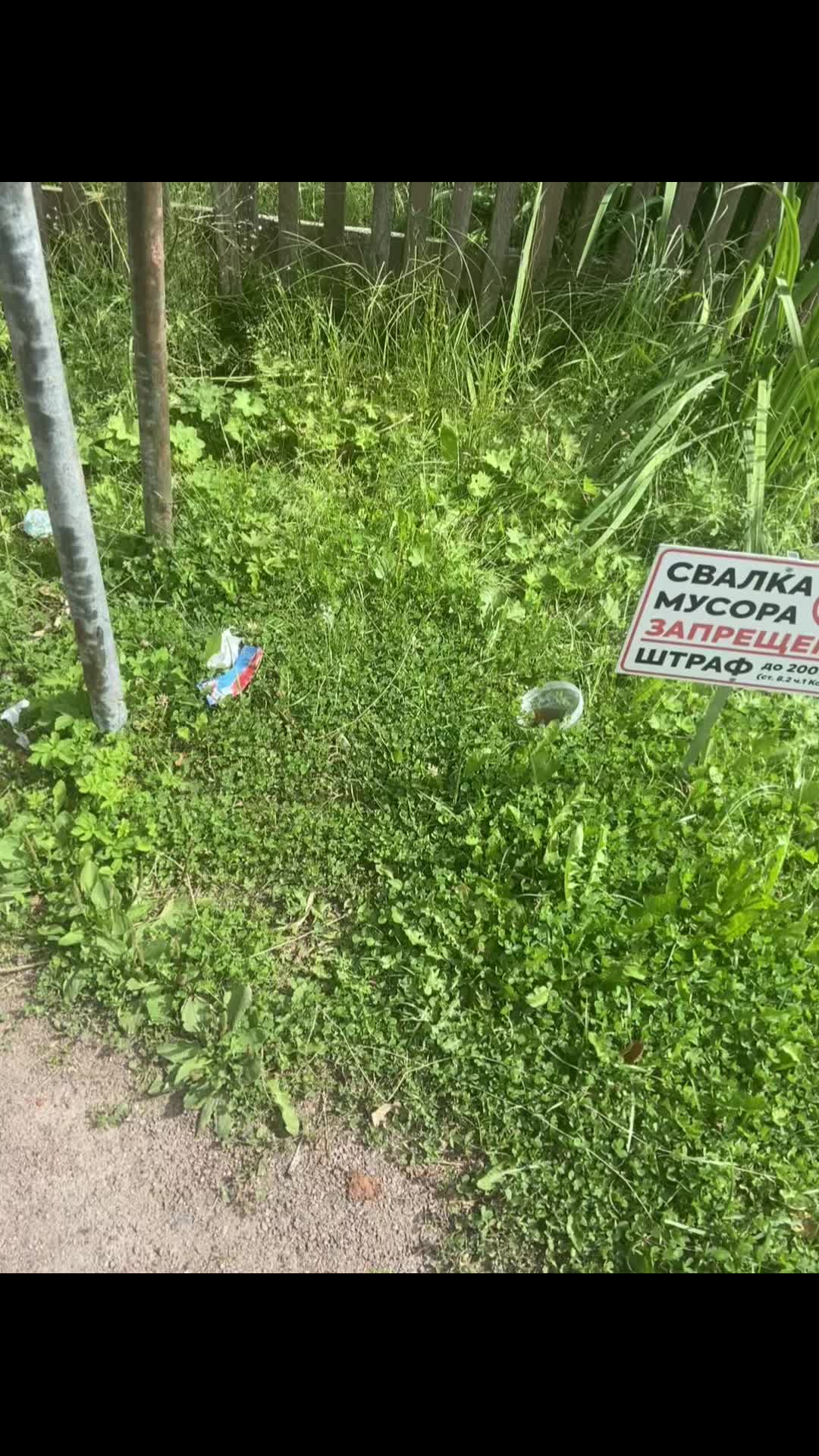 @Тгк:Переговорная с Лейлой