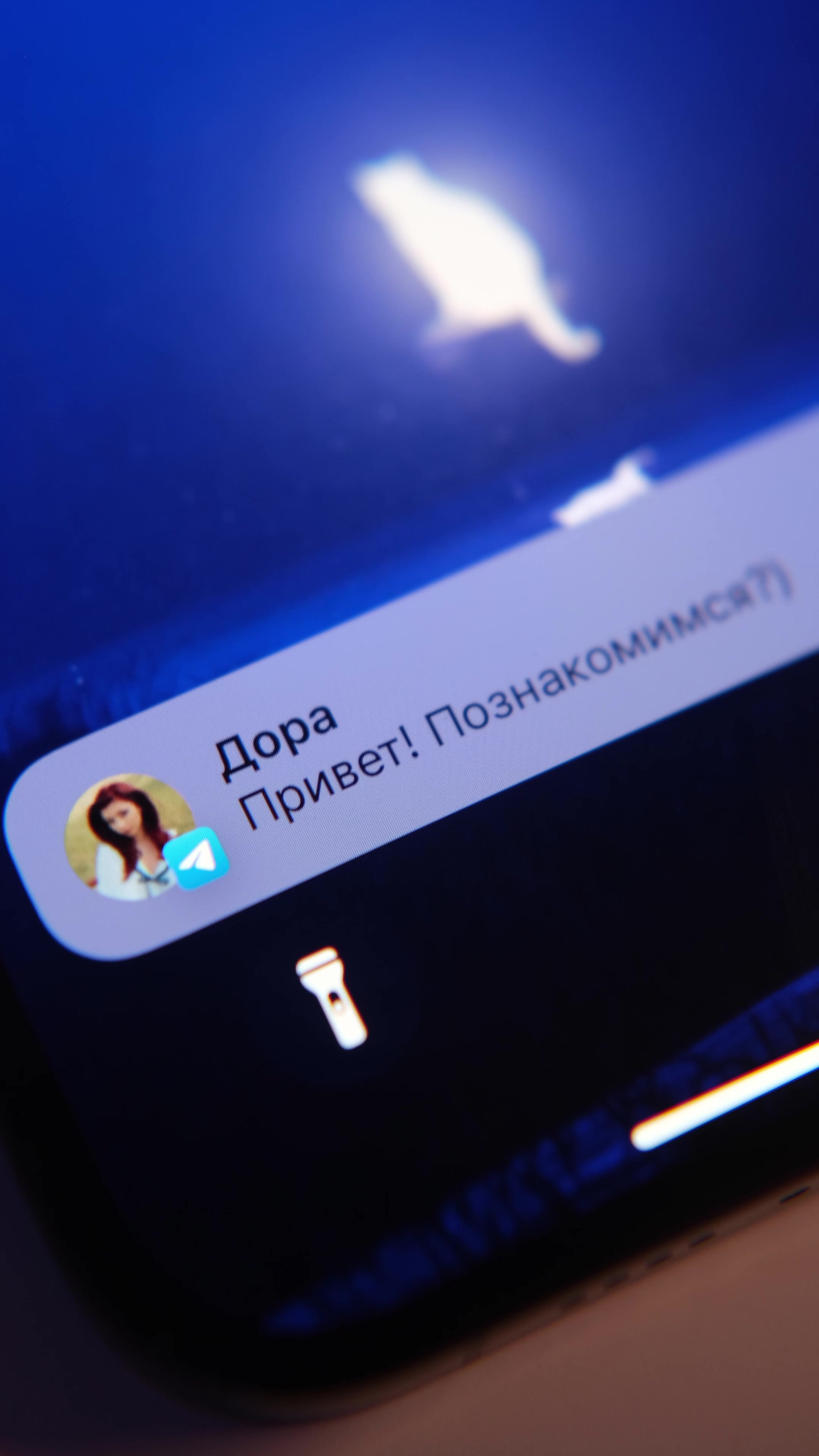 @Данил Гайдук