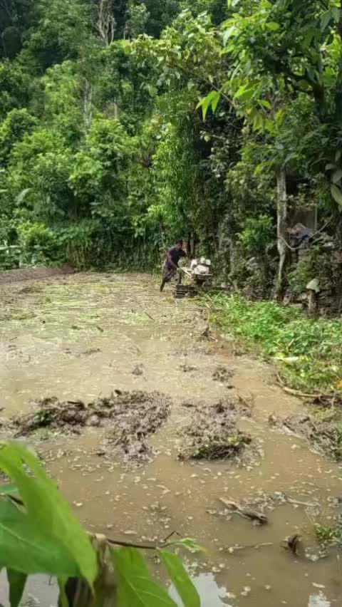 @sakul.kc