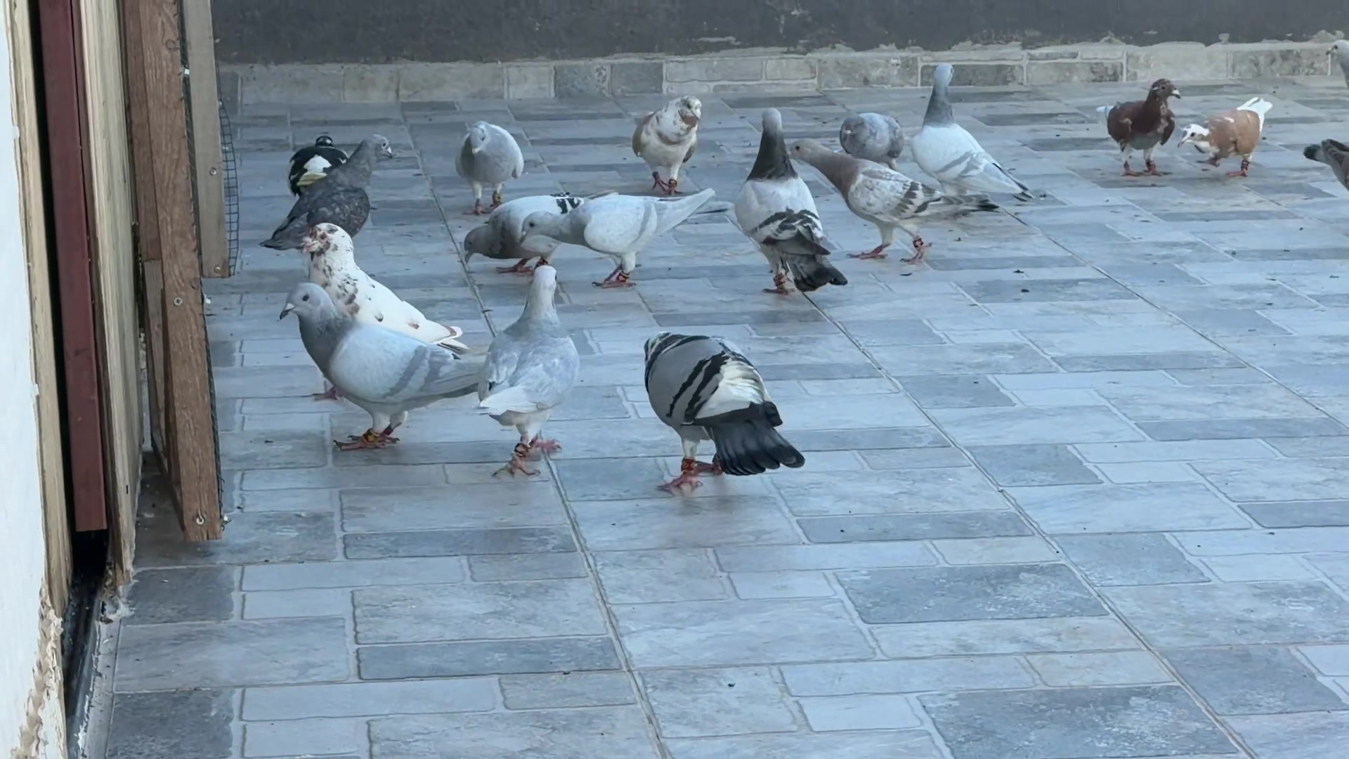 @Mustafa Korkutan