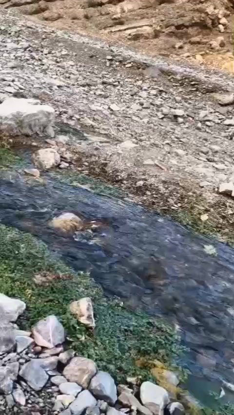 @Bari kakar