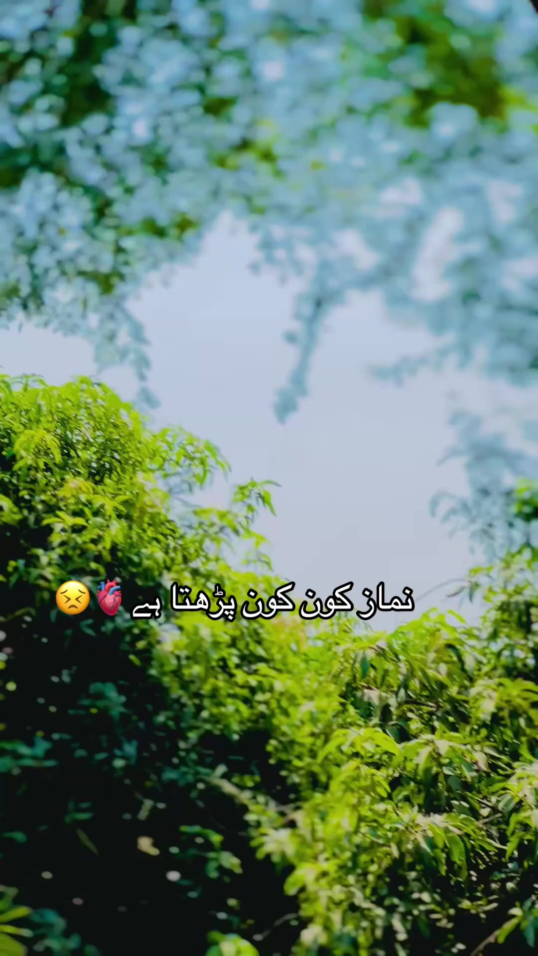 @نومی جٹ شان میلسی دی🫀😎