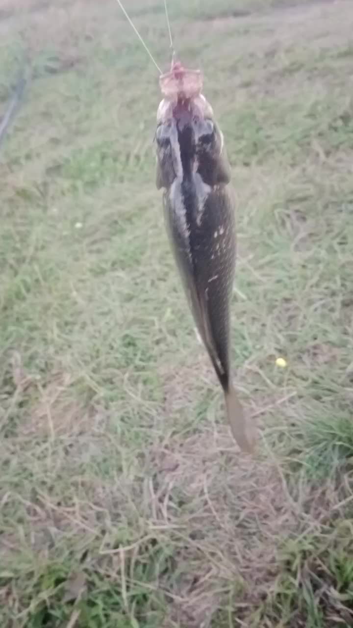 @Катрина