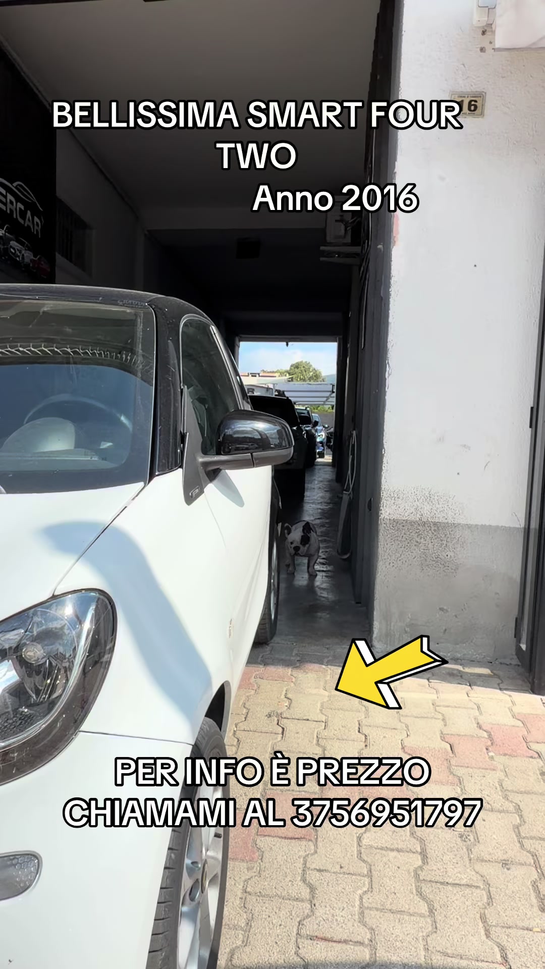 @AUTO PLURIMARKET