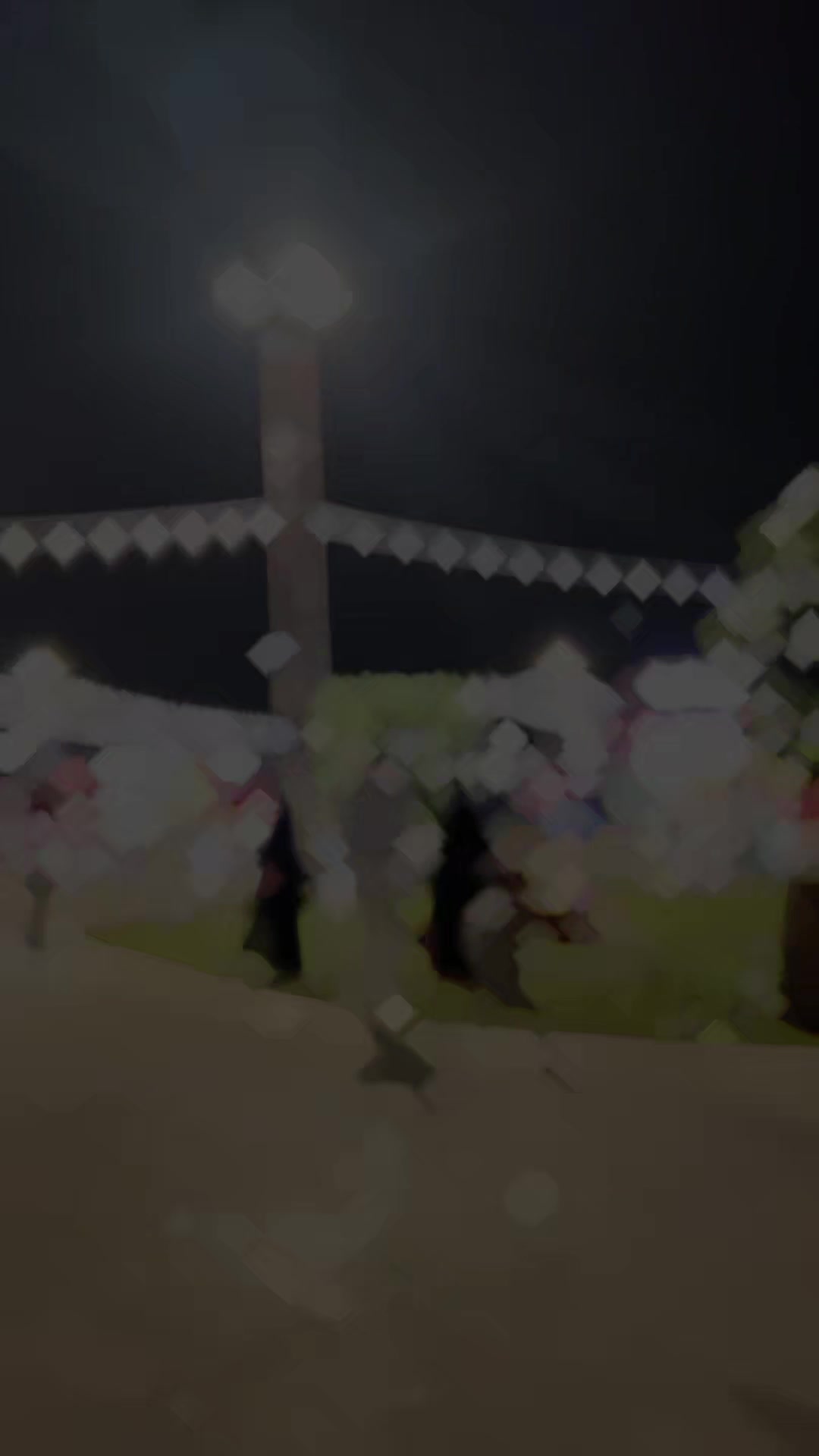 @꧁༺𓊈𒆜 سمیع اللہ 𒆜𓊉༻꧂