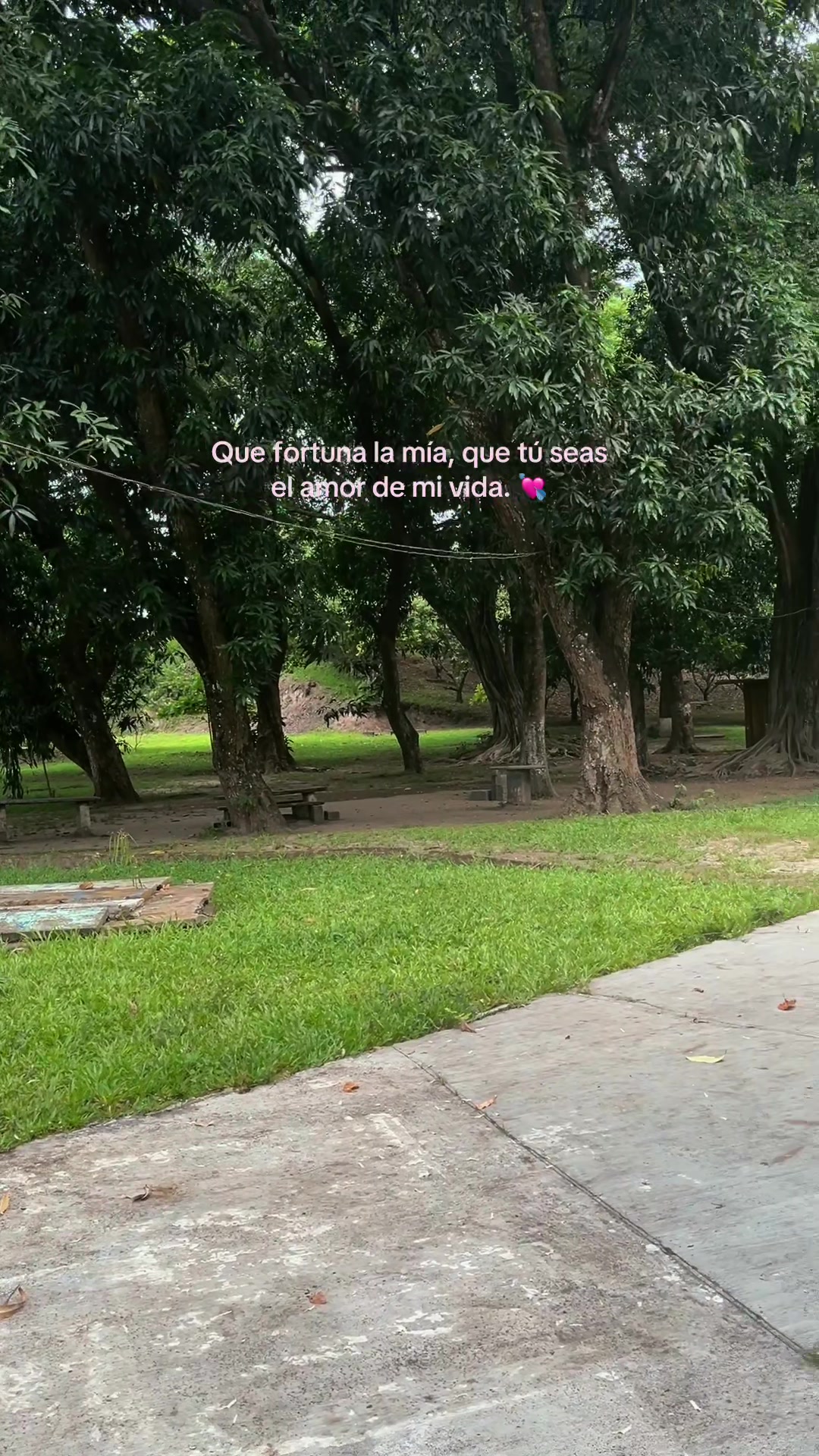 @️SUu